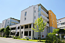 wsg014.JPG