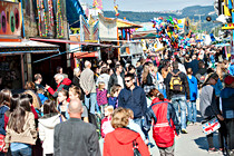 WKO_Markt_0017.JPG