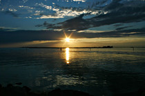 IMG_4418.JPG