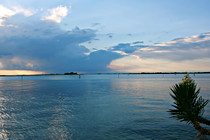 IMG_4498.JPG