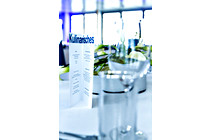 poloplast003.jpg