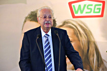 WSG007.JPG