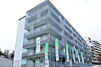 WSG011.JPG