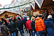 wels008.JPG