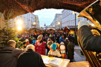 wels013.JPG