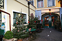 IMG_0026.JPG