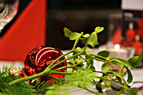 colop023.JPG