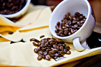Cup_0008.JPG