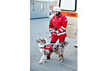 Helden_Hunde_0020.JPG