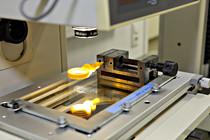 lnf-schneegans_014.jpg