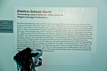 WJ_100_5151.jpg