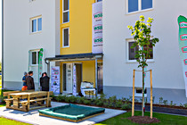 WSG_Regau_020_9050.jpg